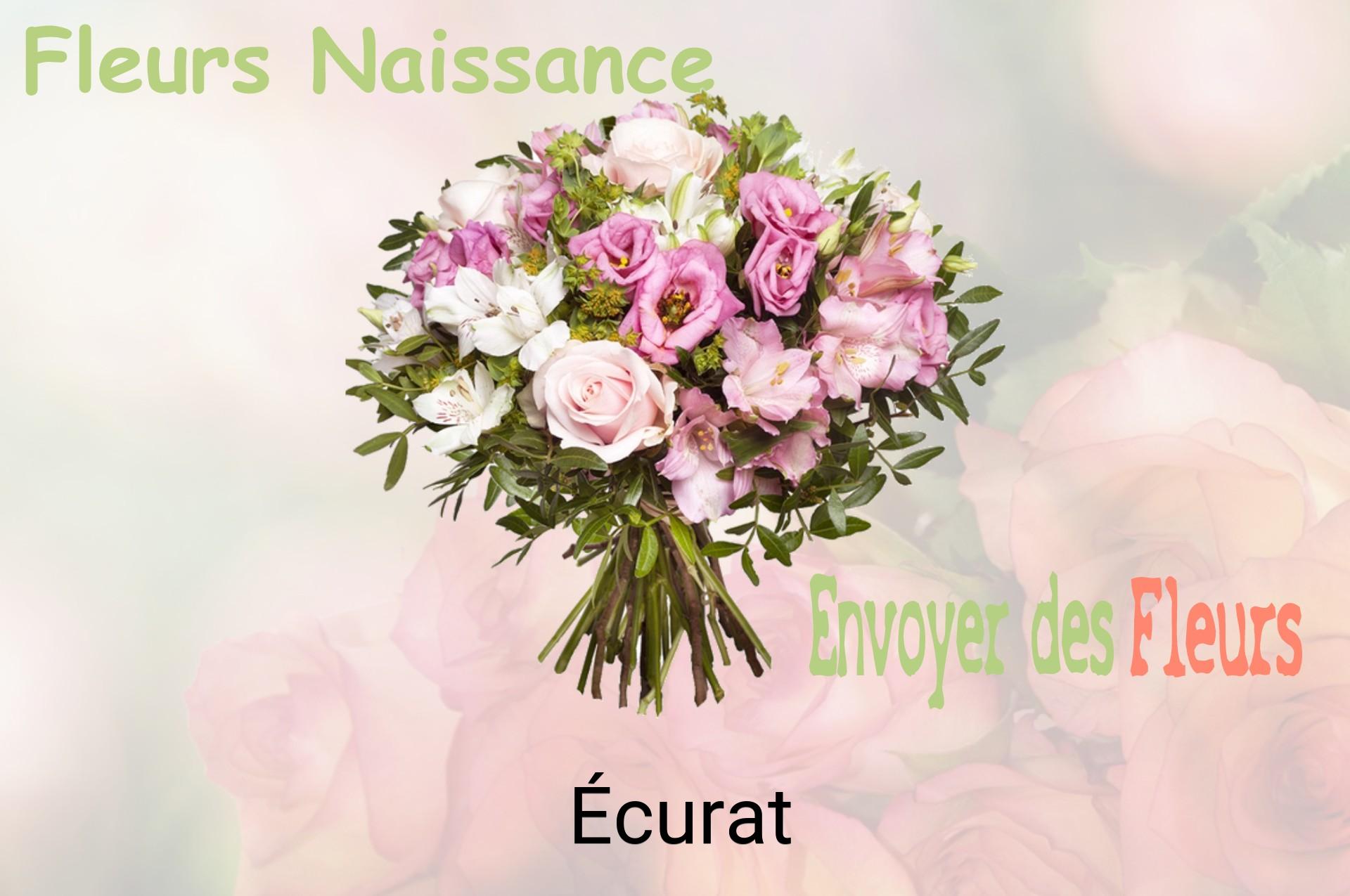 Bouquet de fleurs de naissance livré à Écurat
